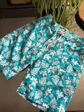 Trunks Surf & Swim Co Swim Trunks, Medium